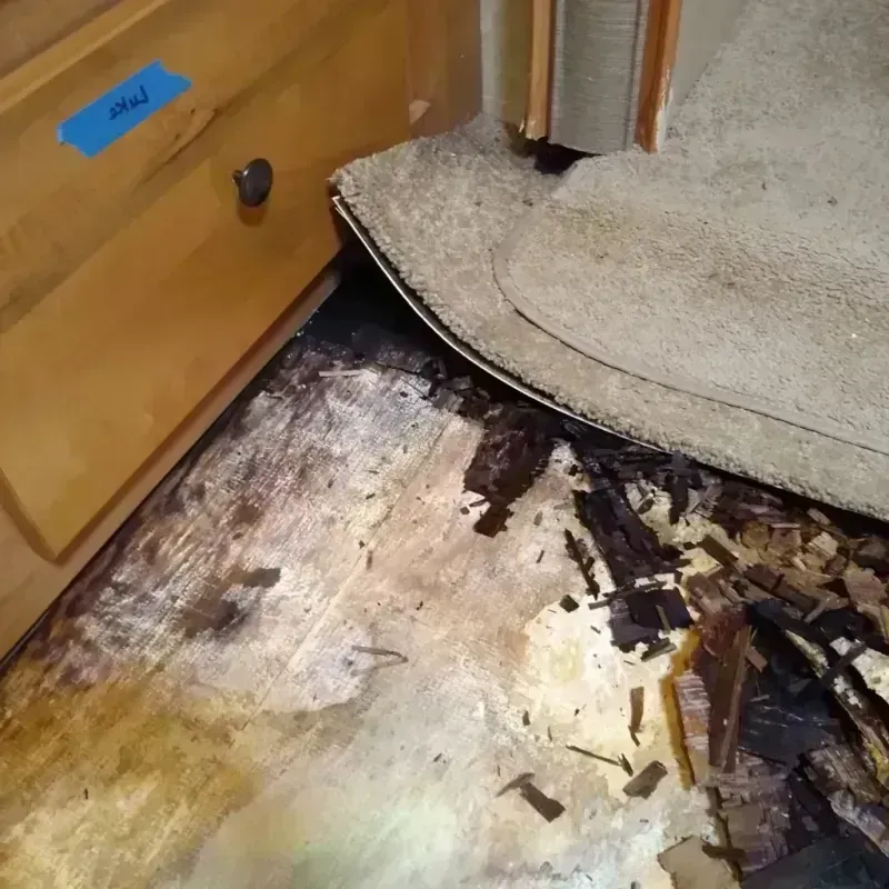 Wood Floor Water Damage in Traverse County, MN